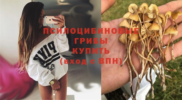 а пвп мука Шарыпово